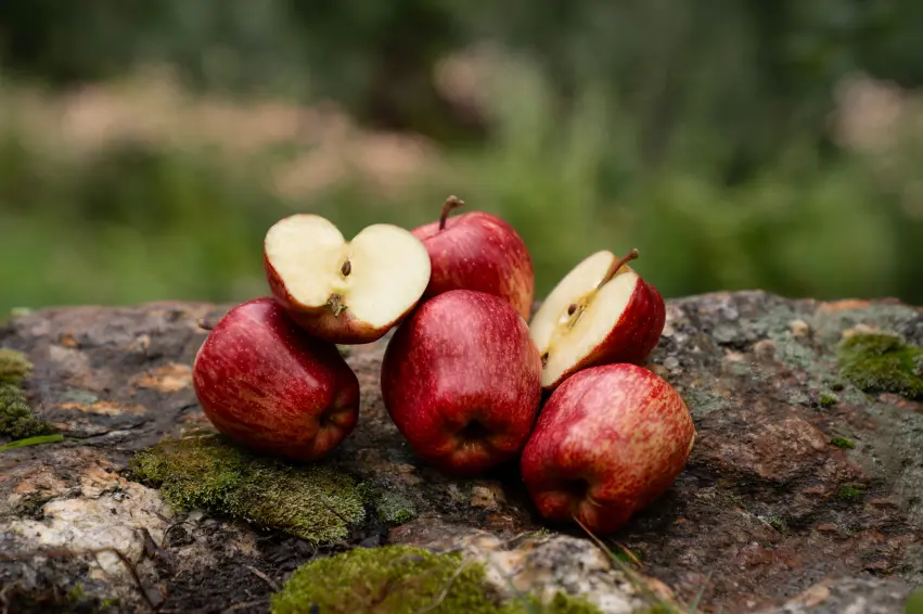 Red Royal Kinnaur Apples