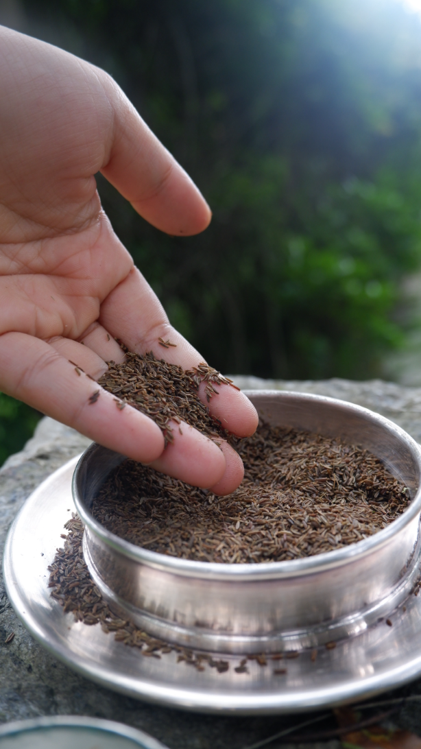 Black Cumin (Kala Jeera)