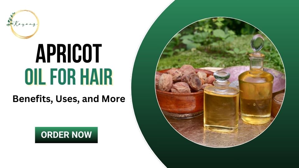 apricot oil for hair