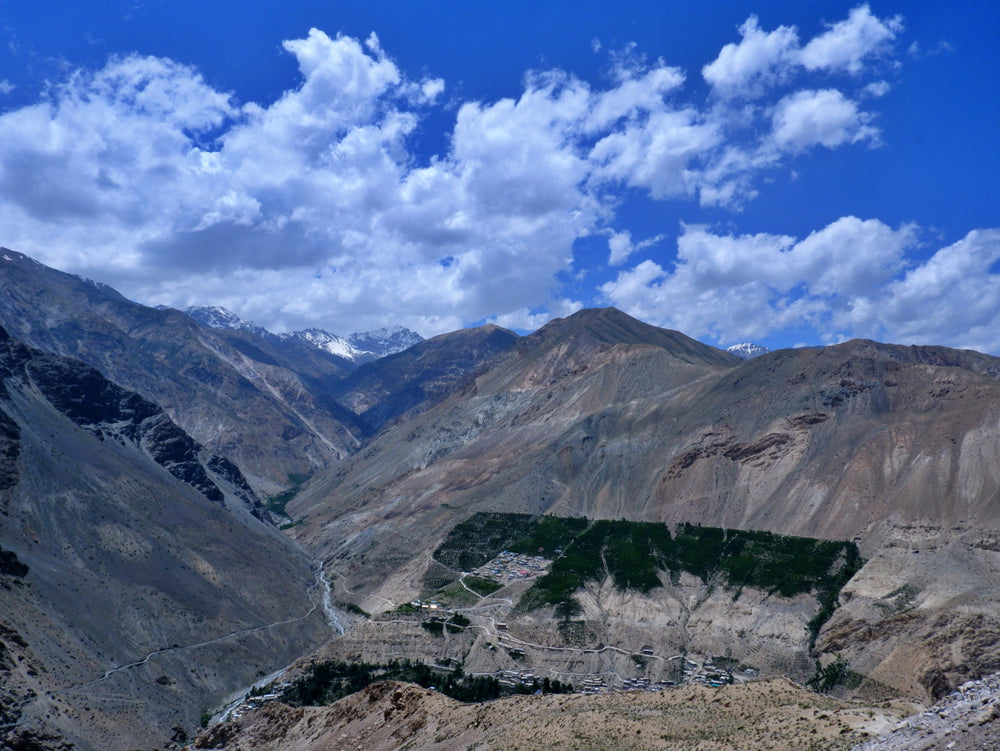Inside Kinnaur’s Apple Harvest: One District, Three Different Apple Seasons
