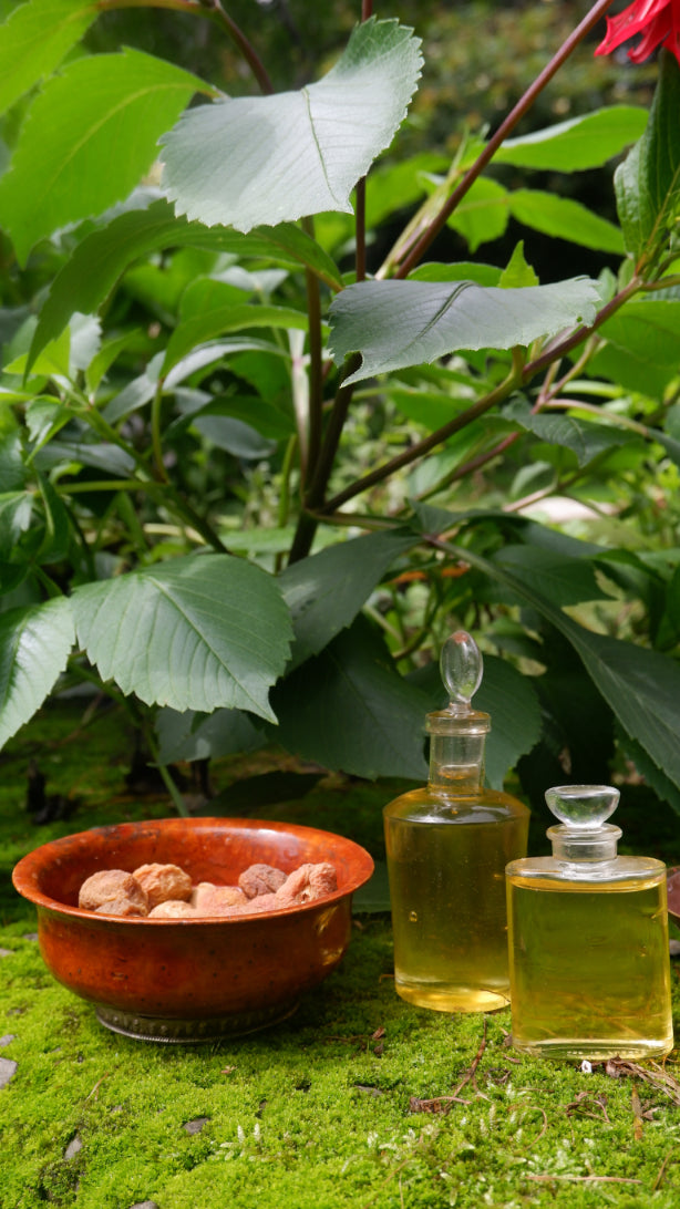 Apricot Oil (Gutti ka tel) (500ml)