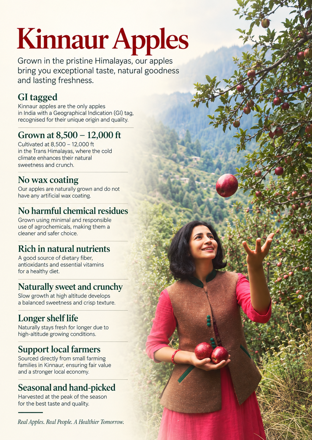 Kinnaur Red Royal Apples — Freshly hand picked